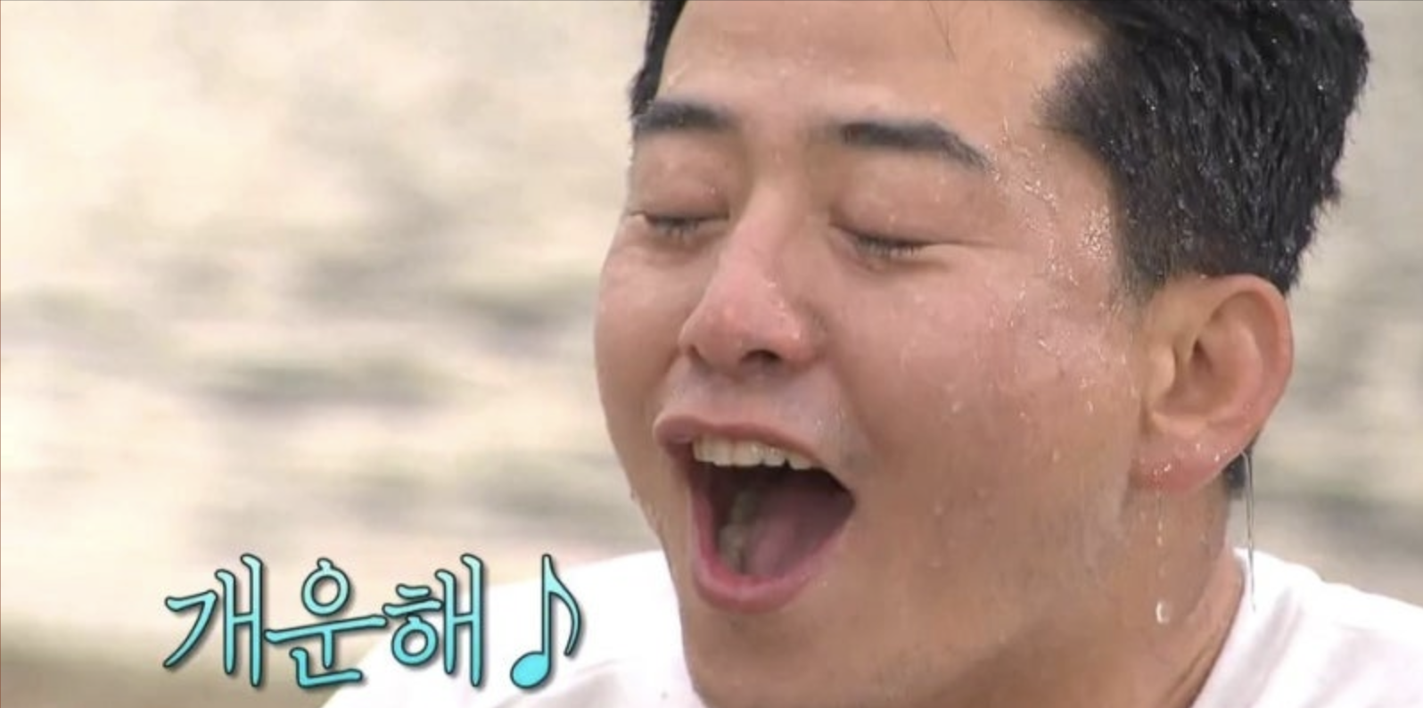 개운해 짤